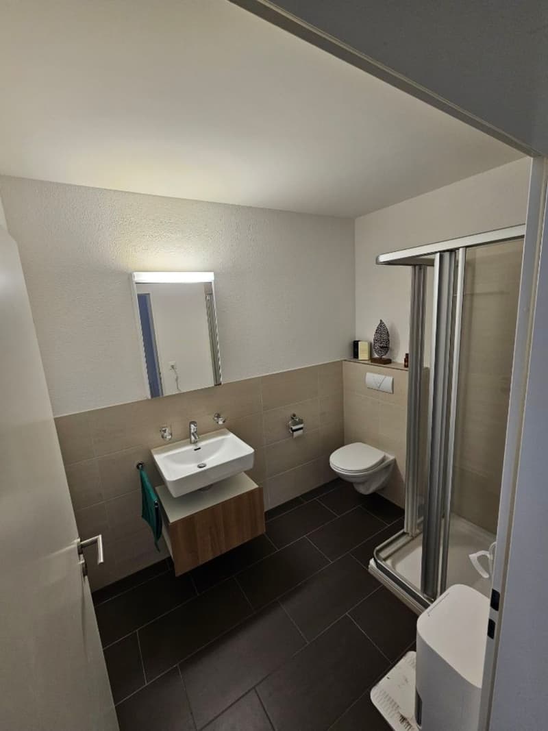 3,5-Zimmer Attikawohnung mit 2 Bädern und Balkonen (7)