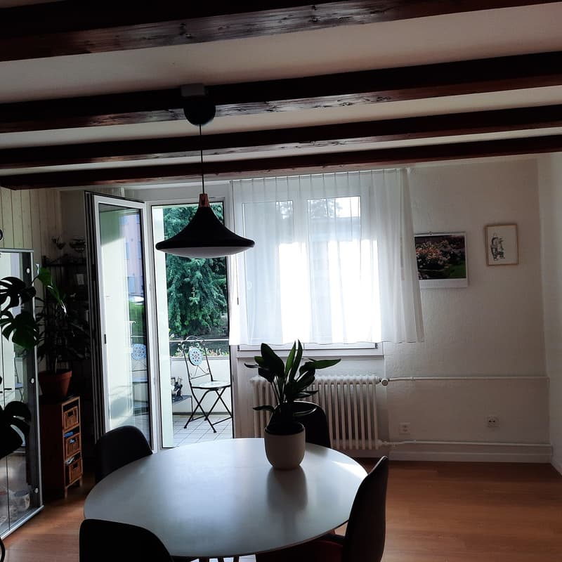 Frisch renovierte,helle 3-Zimmer Wohnung im Grossacher/Erlenweg 10 Hombrechtikon (2)