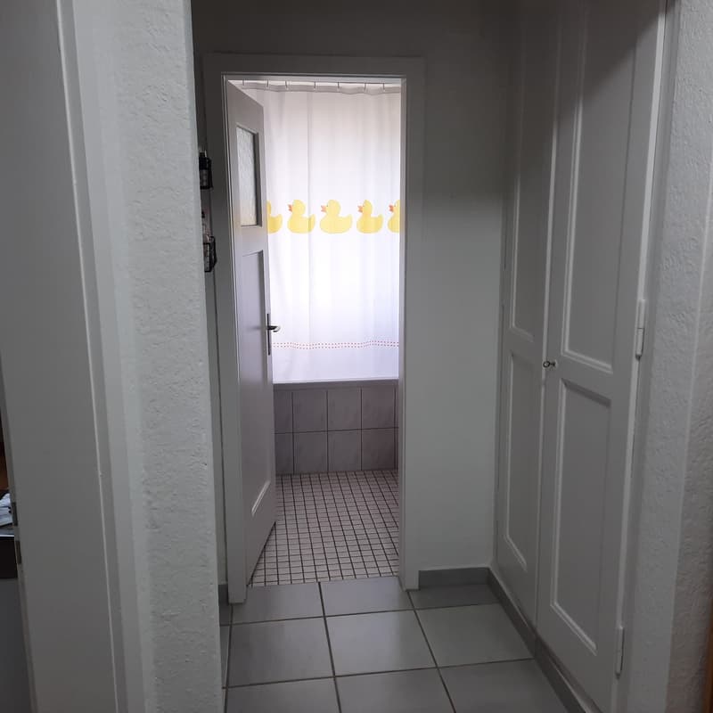 Frisch renovierte,helle 3-Zimmer Wohnung im Grossacher/Erlenweg 10 Hombrechtikon (8)