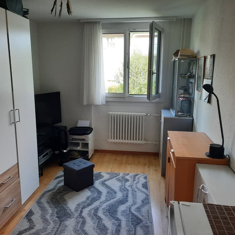 Frisch renovierte,helle 3-Zimmer Wohnung im Grossacher/Erlenweg 10 Hombrechtikon (7)