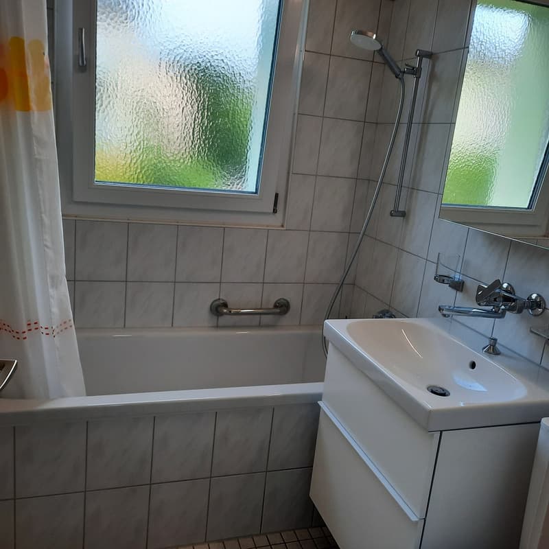 Frisch renovierte,helle 3-Zimmer Wohnung im Grossacher/Erlenweg 10 Hombrechtikon (13)