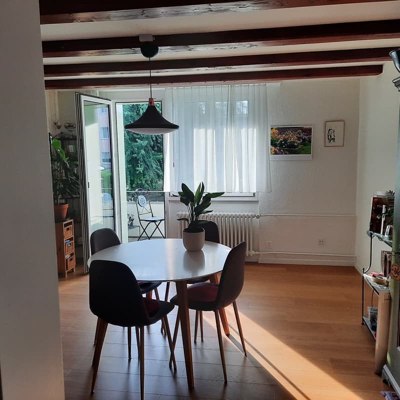 Frisch renovierte,helle 3-Zimmer Wohnung im Grossacher/Erlenweg 10 Hombrechtikon (4)