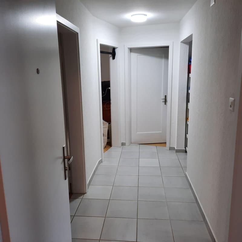 Frisch renovierte,helle 3-Zimmer Wohnung im Grossacher/Erlenweg 10 Hombrechtikon (9)
