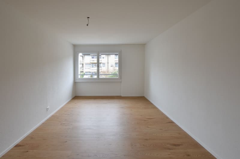 Bright, freshly renovated 4.5-room apartment with modern kitchen (3)