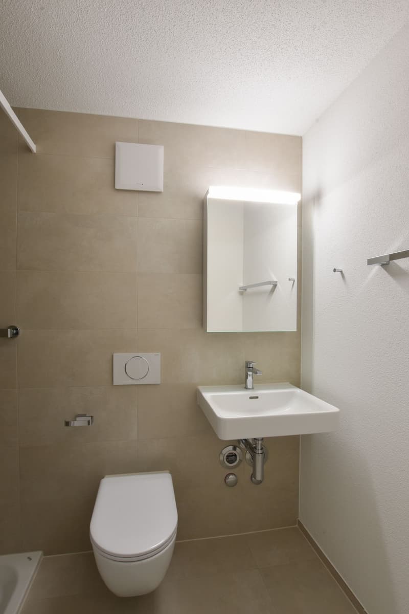 Bright, freshly renovated 4.5-room apartment with modern kitchen (1)