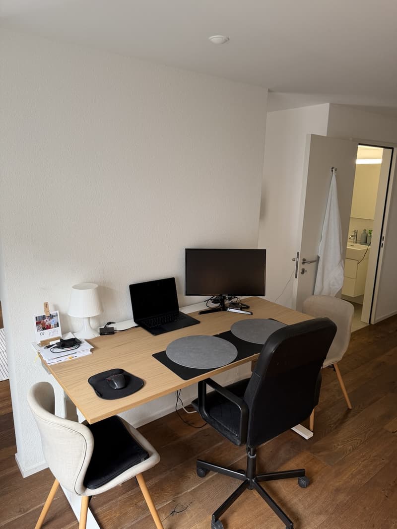 Bright 1.5-room new-build in Kreis 5 (Limmatplatz) successor tenant wanted (12)