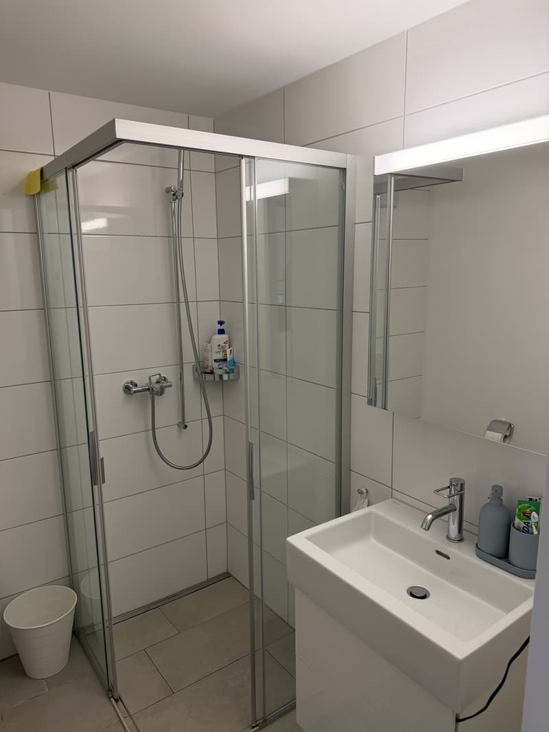 Bright 1.5-room new-build in Kreis 5 (Limmatplatz) successor tenant wanted (11)