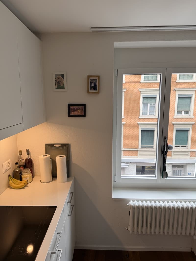 Bright 1.5-room new-build in Kreis 5 (Limmatplatz) successor tenant wanted (8)