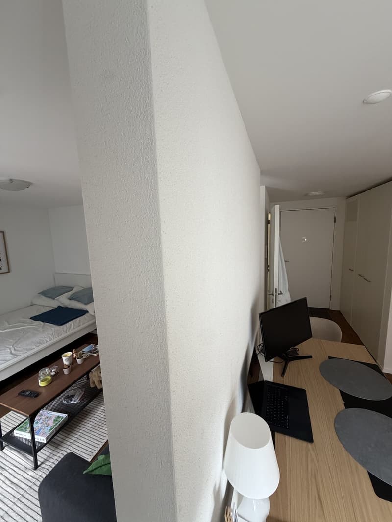 Bright 1.5-room new-build in Kreis 5 (Limmatplatz) successor tenant wanted (13)