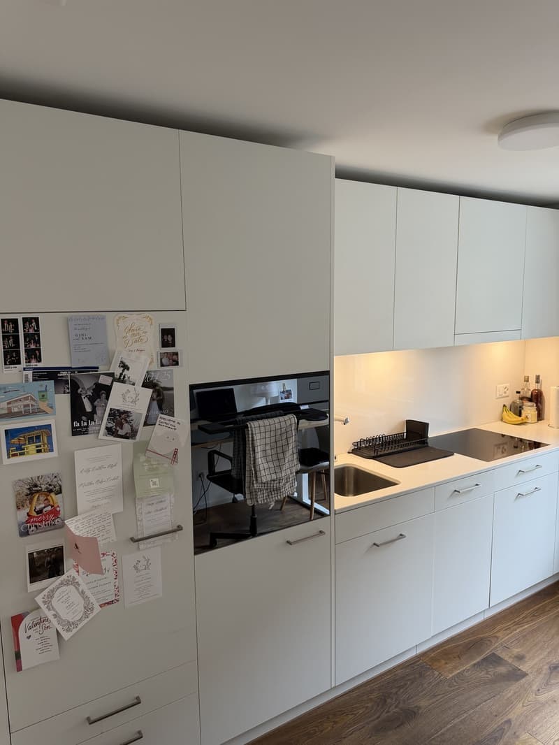 Bright 1.5-room new-build in Kreis 5 (Limmatplatz) successor tenant wanted (7)