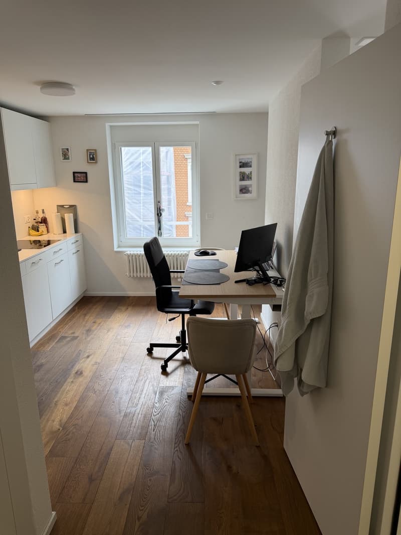 Bright 1.5-room new-build in Kreis 5 (Limmatplatz) successor tenant wanted (3)