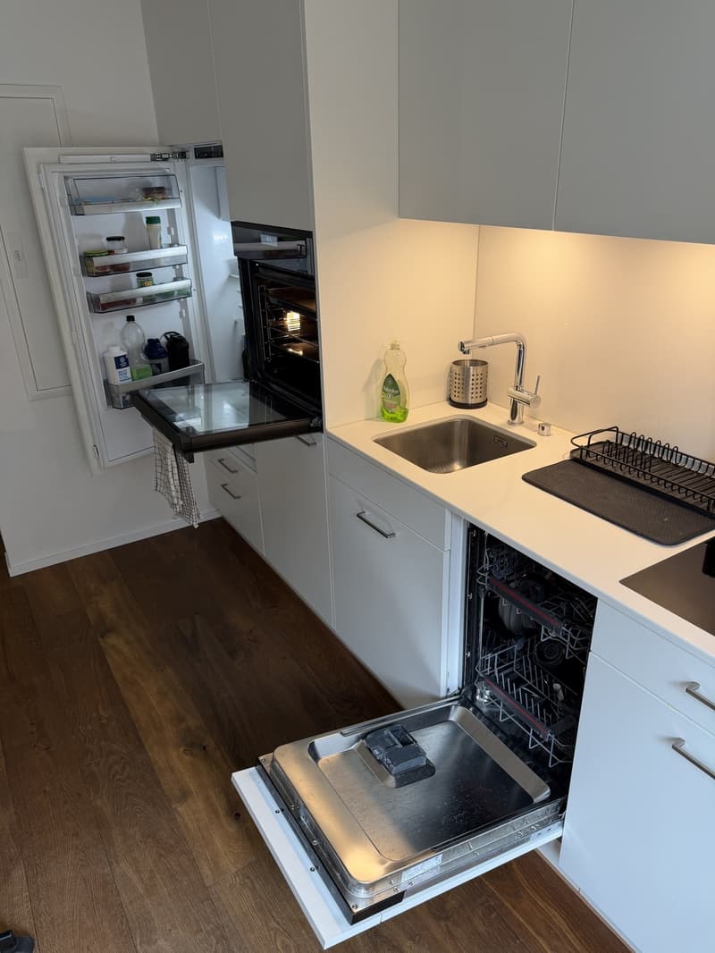 Bright 1.5-room new-build in Kreis 5 (Limmatplatz) successor tenant wanted (9)
