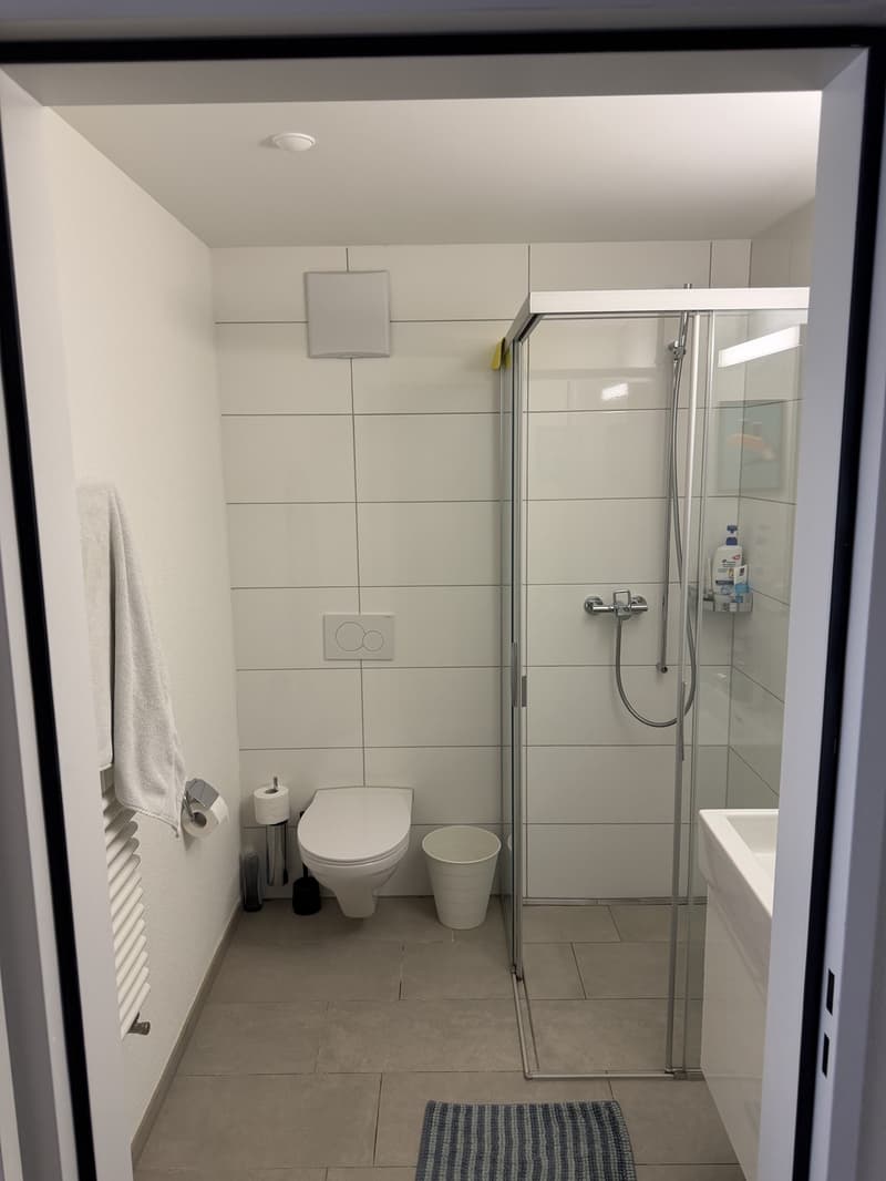 Bright 1.5-room new-build in Kreis 5 (Limmatplatz) successor tenant wanted (10)