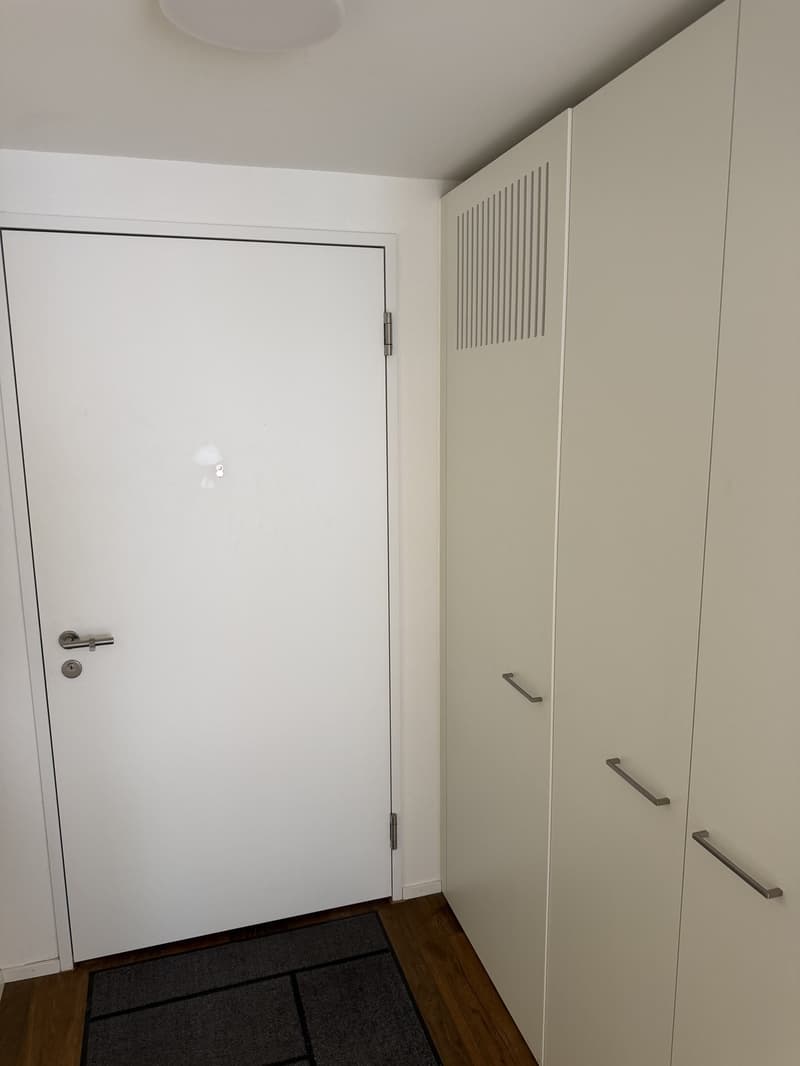 Bright 1.5-room new-build in Kreis 5 (Limmatplatz) successor tenant wanted (6)