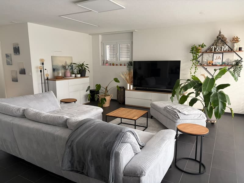 Moderne 4.5-Zimmer-Attikawohnung in Rombach (2)