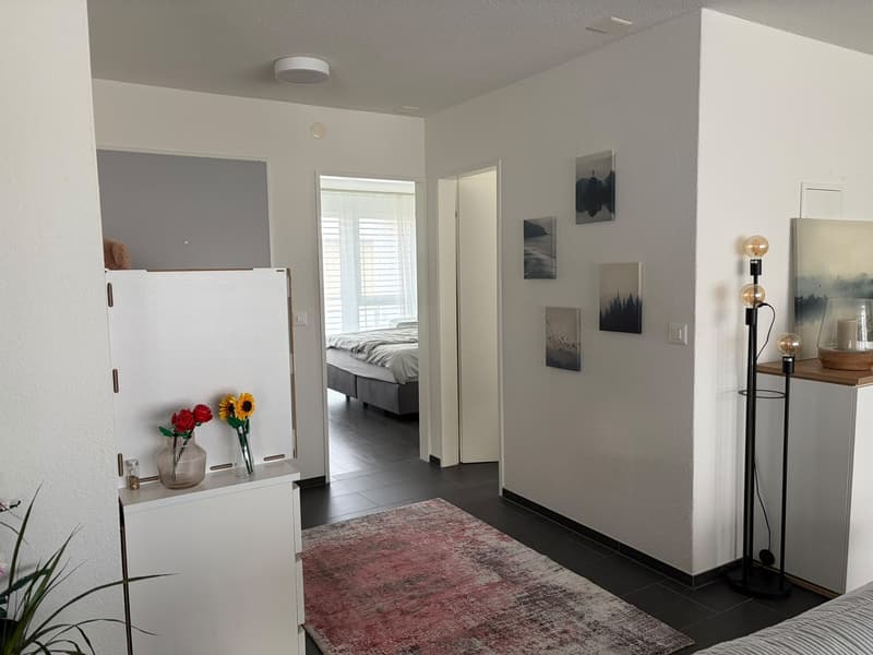 Moderne 4.5-Zimmer-Attikawohnung in Rombach (10)