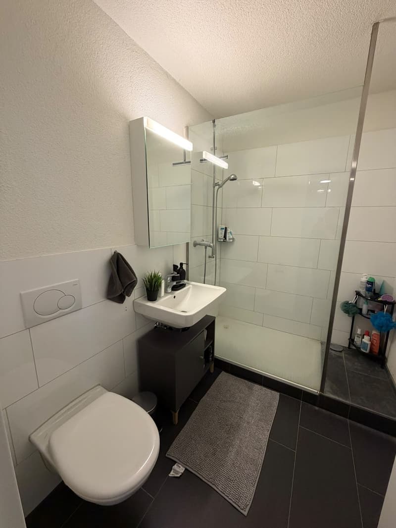 Moderne 4.5-Zimmer-Attikawohnung in Rombach (8)