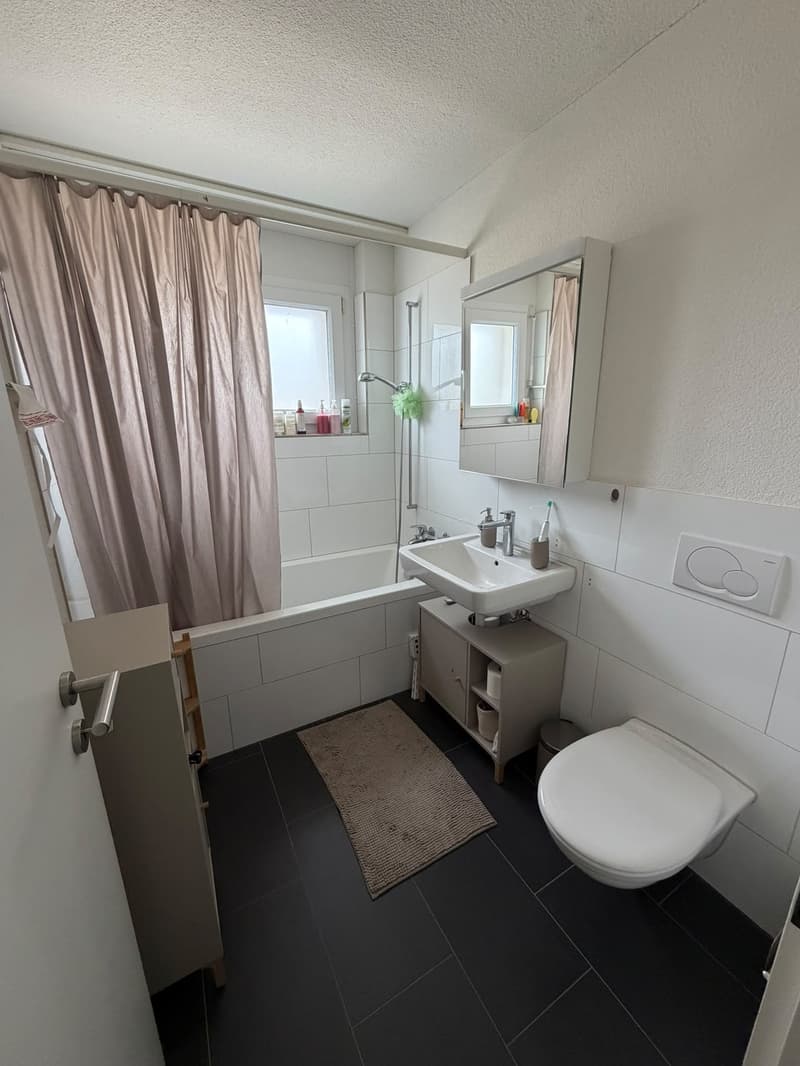 Moderne 4.5-Zimmer-Attikawohnung in Rombach (7)