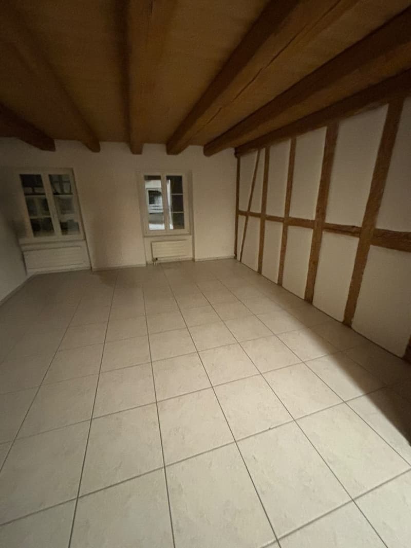 3.5-Zimmer-Wohnung (3)