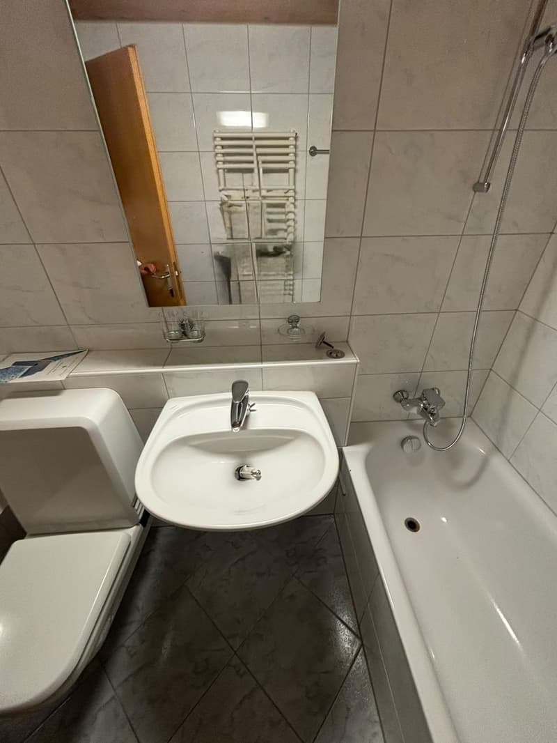 3.5-Zimmer-Wohnung (2)