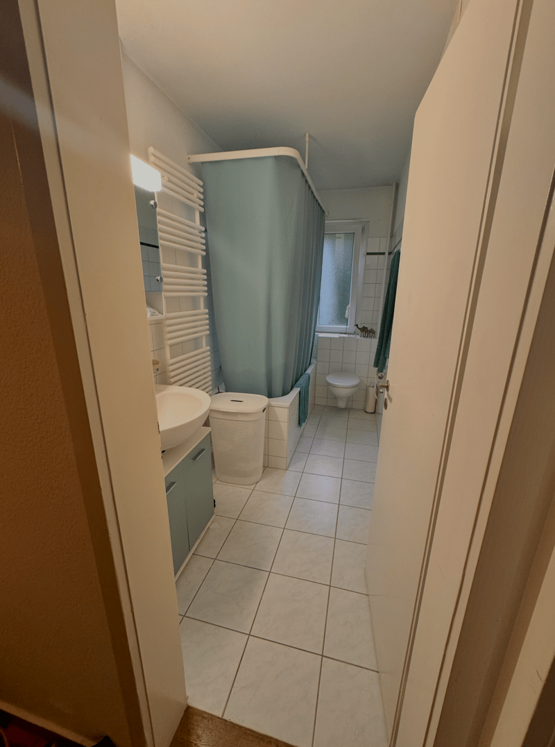 1.5-Zimmer-Apartment im Herzen von Zürich-Wiedikon zur Untermiete (4)