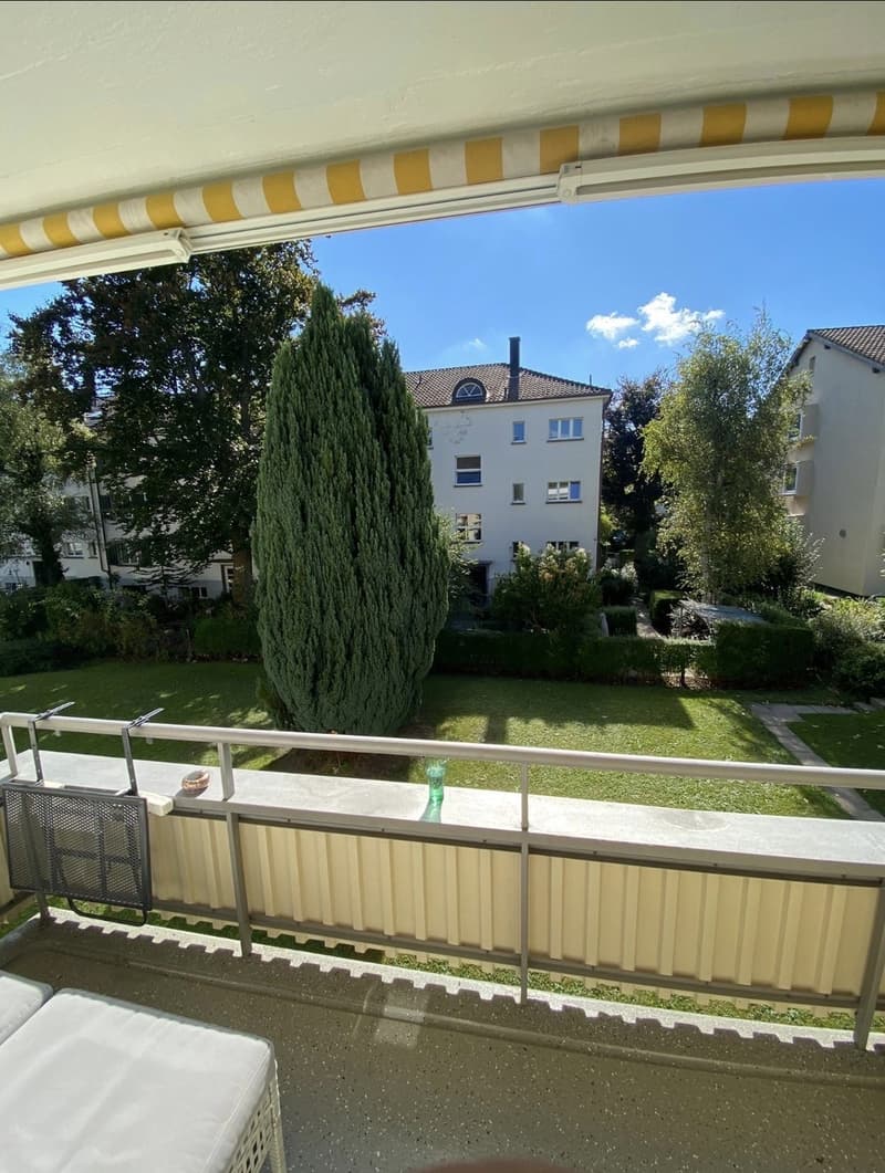 1.5-Zimmer-Apartment im Herzen von Zürich-Wiedikon zur Untermiete (2)