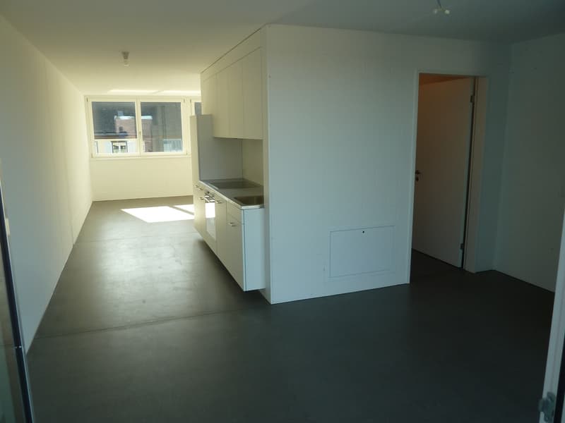 1.5 Zimmer Attika Wohnung ab 1. August (1)