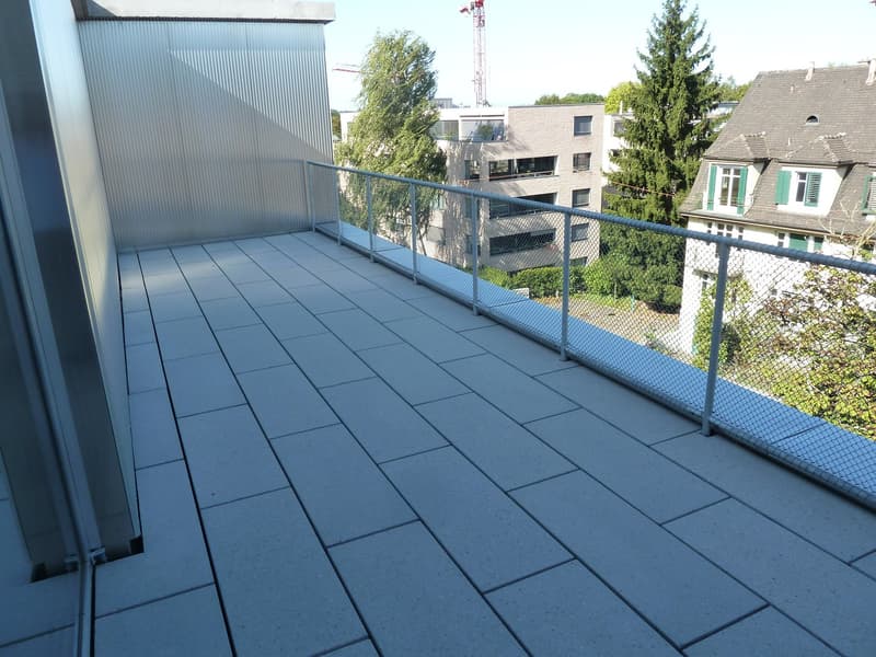 1.5 Zimmer Attika Wohnung ab 1. August (2)