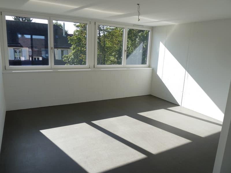 1.5 Zimmer Attika Wohnung ab 1. August (3)