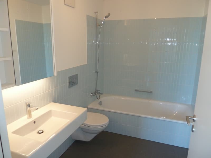 1.5 Zimmer Attika Wohnung ab 1. August (4)