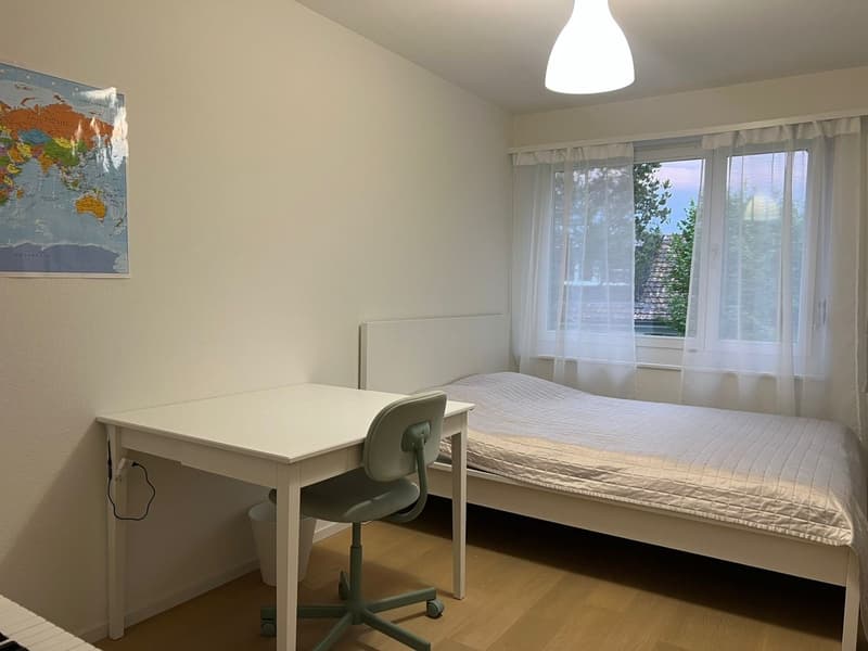 Tenant wanted Beautiful 4-room apartment in Horgen (1)