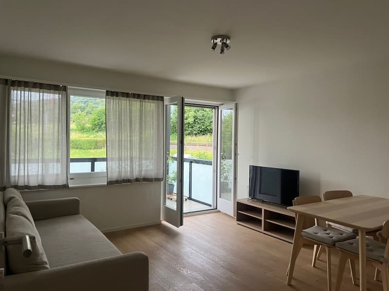 Tenant wanted Beautiful 4-room apartment in Horgen (7)