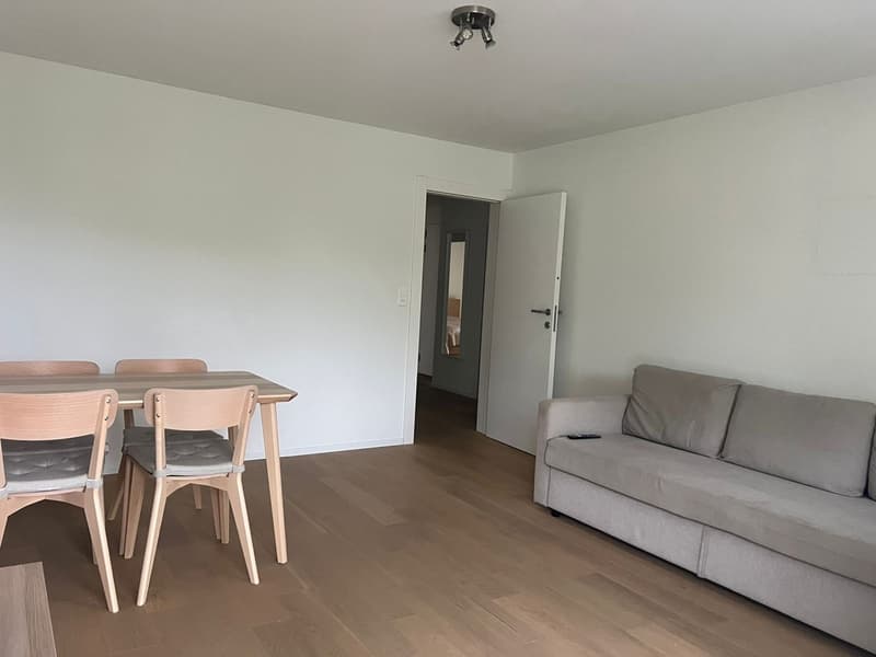 Tenant wanted Beautiful 4-room apartment in Horgen (3)