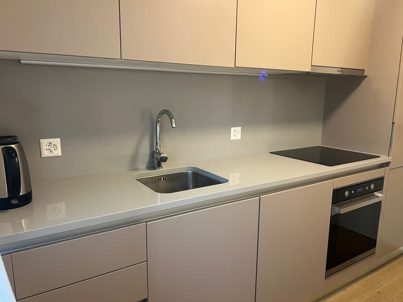 Tenant wanted Beautiful 4-room apartment in Horgen (4)