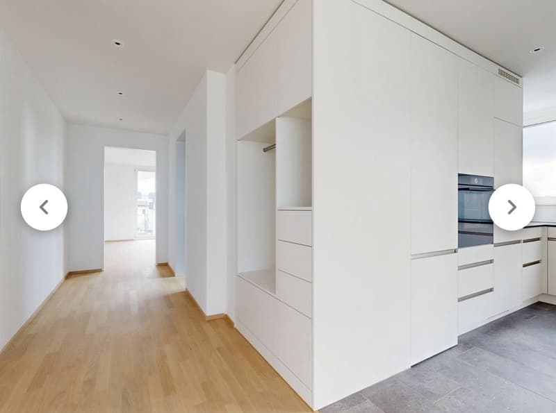 Appartement moderne de 2,5 pièces dans un quartier verdoyant à Zurich (8048) (2)