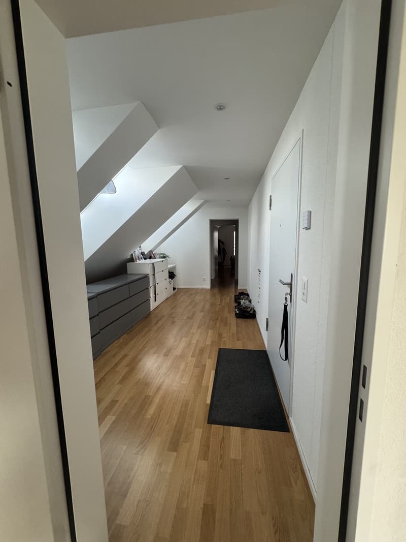 Appartement Höri (3)