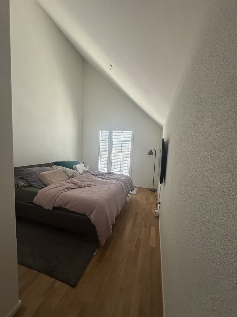Appartement Höri (8)
