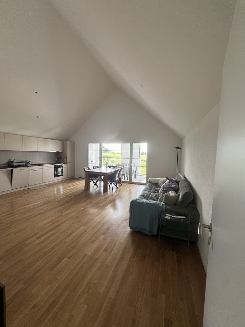 Appartement Höri (6)