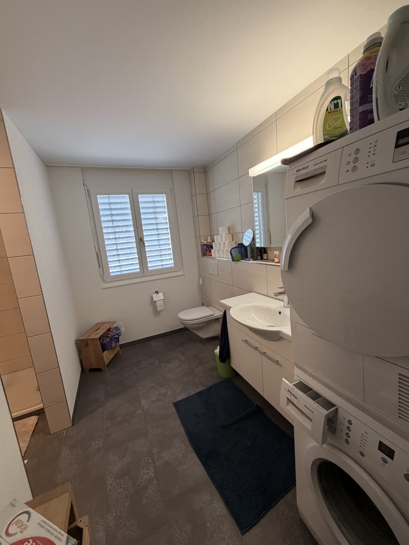 Exclusive 4.5-room attic apartment with breathtaking views in Erlinsbach AG (7)