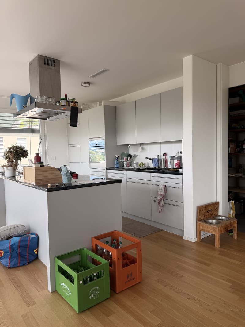 Exclusive 4.5-room attic apartment with breathtaking views in Erlinsbach AG (3)