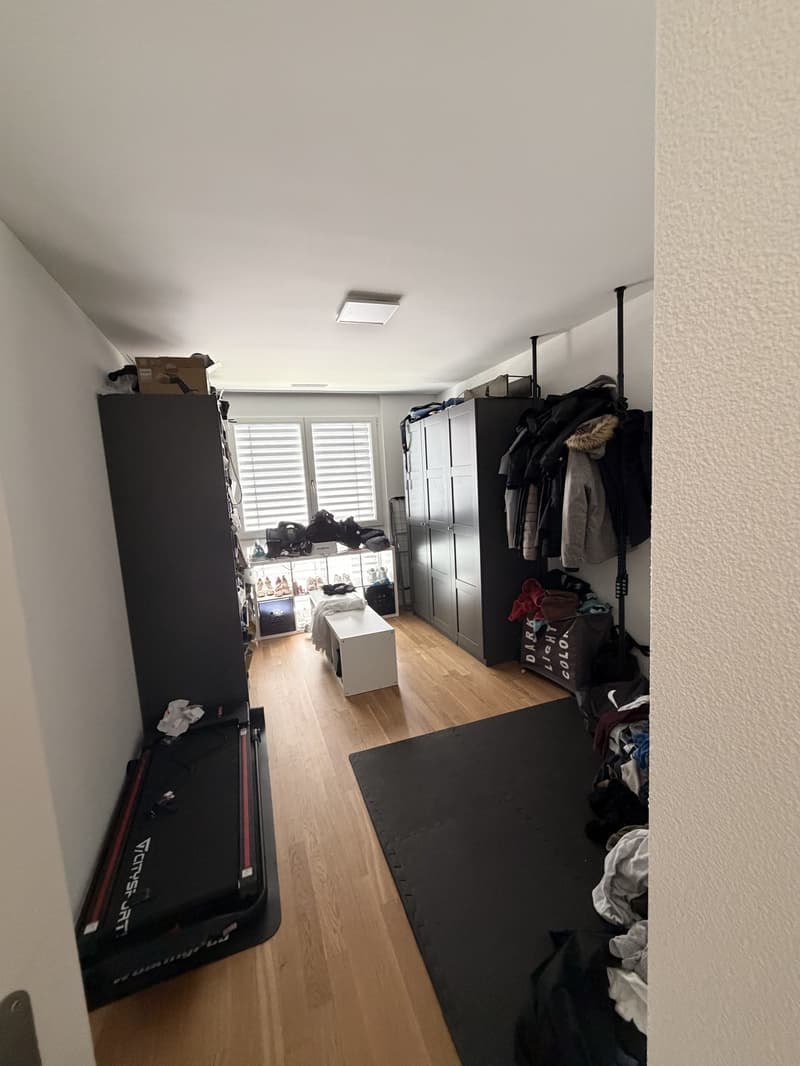 Exclusive 4.5-room attic apartment with breathtaking views in Erlinsbach AG (4)
