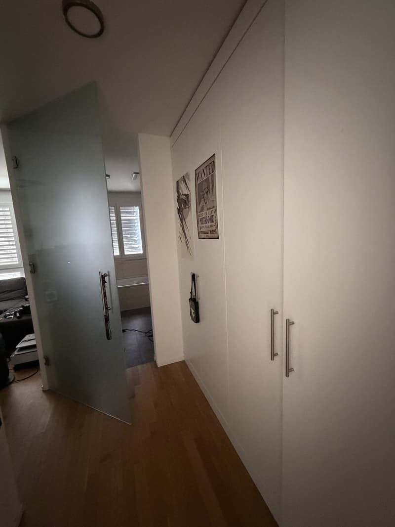 Exclusive 4.5-room attic apartment with breathtaking views in Erlinsbach AG (6)