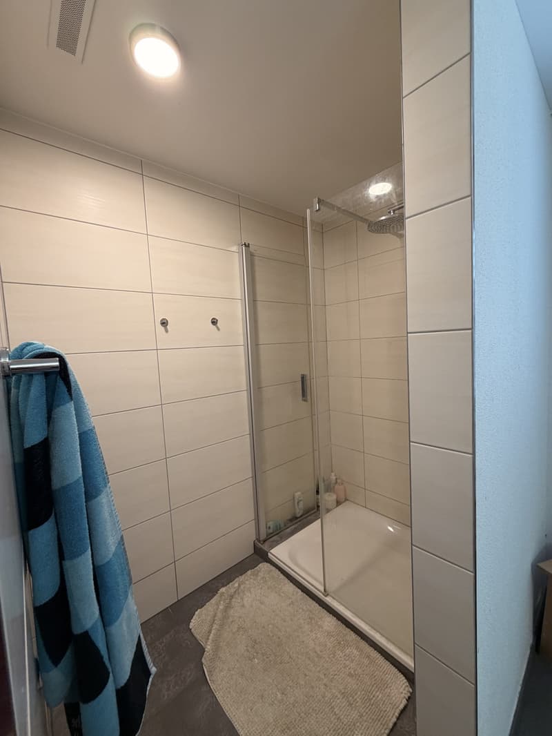 Exclusive 4.5-room attic apartment with breathtaking views in Erlinsbach AG (8)