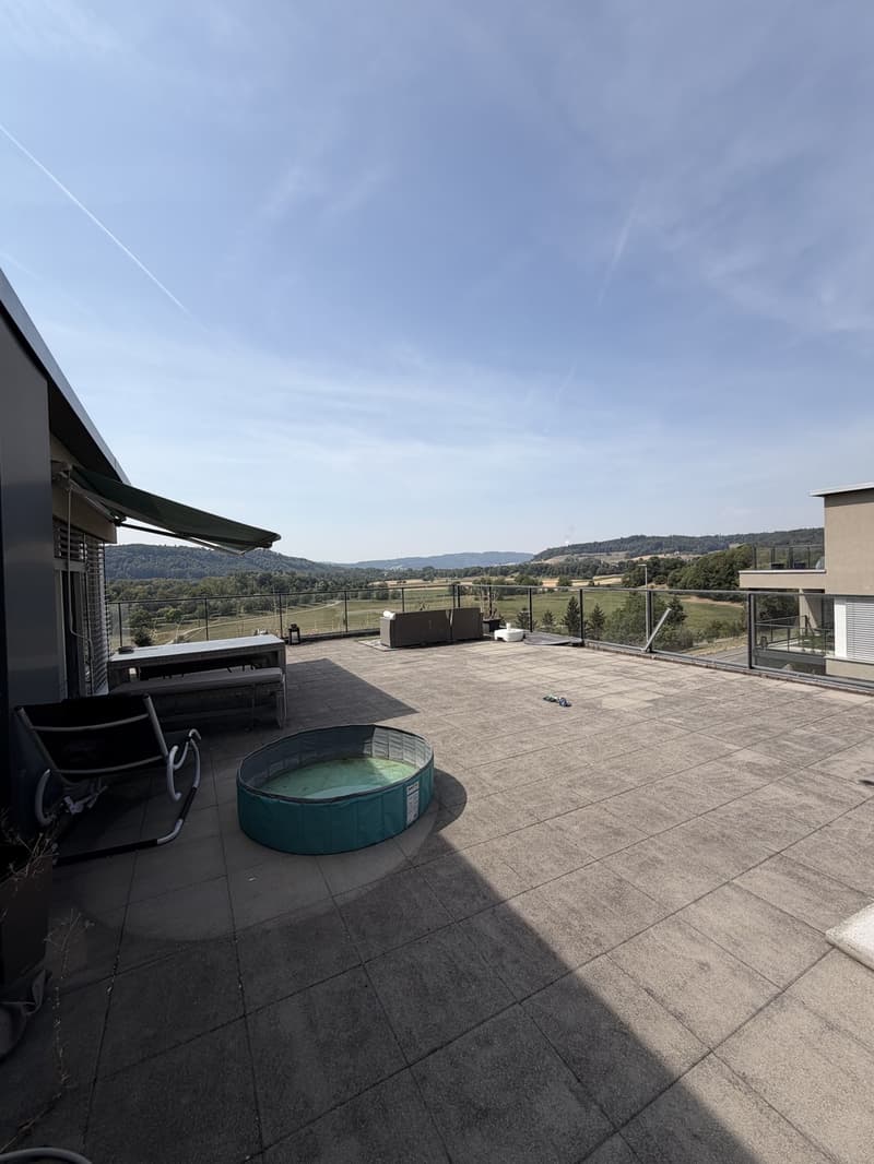 Exclusive 4.5-room attic apartment with breathtaking views in Erlinsbach AG (10)