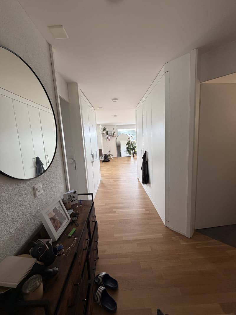 Exclusive 4.5-room attic apartment with breathtaking views in Erlinsbach AG (1)