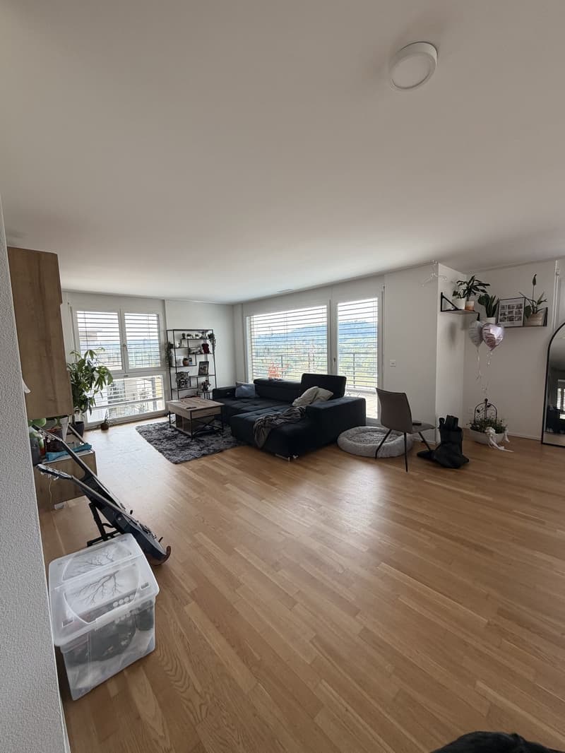Exclusive 4.5-room attic apartment with breathtaking views in Erlinsbach AG (2)