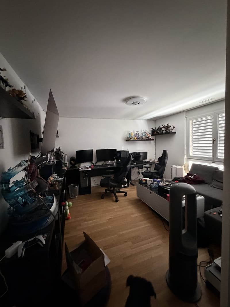 Exclusive 4.5-room attic apartment with breathtaking views in Erlinsbach AG (5)