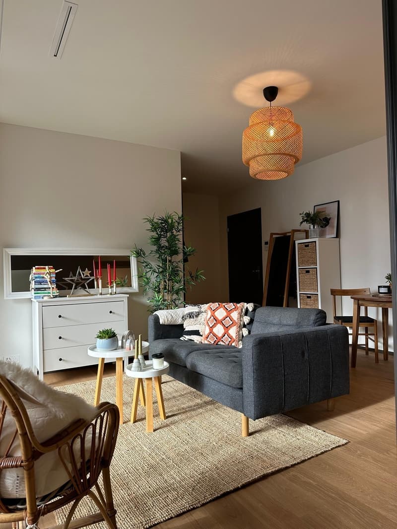 Private - Brand New 2.5 apt in Zurich Manegg start ASAP (9)