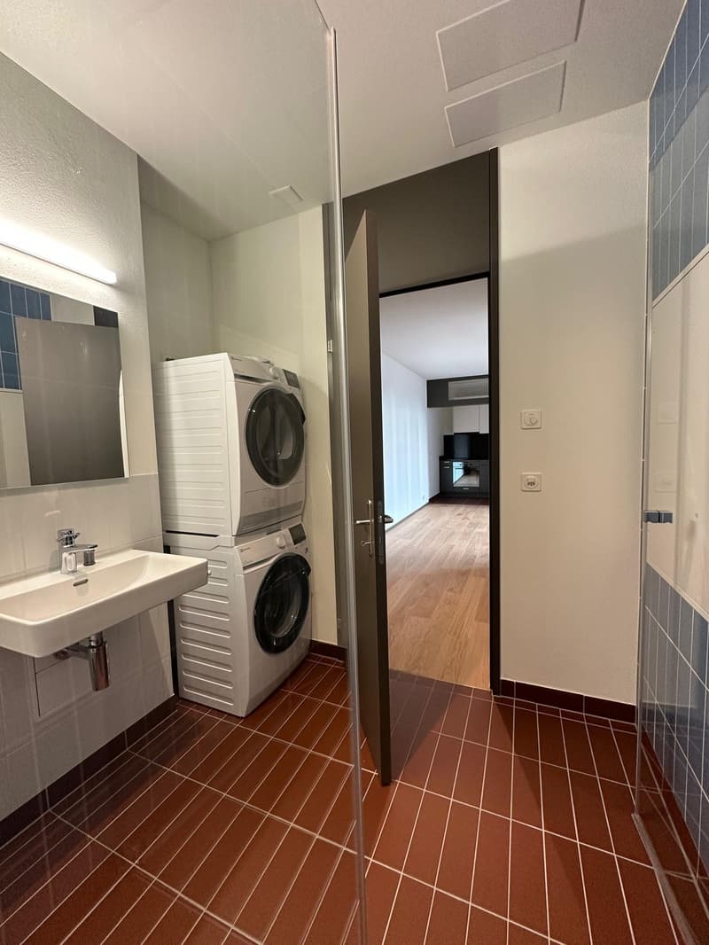 Private - Brand New 2.5 apt in Zurich Manegg start ASAP (7)