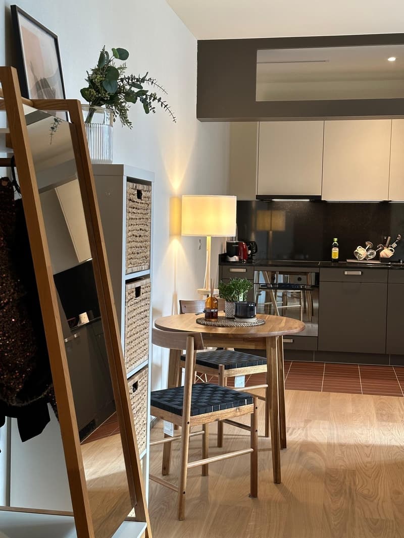 Private - Brand New 2.5 apt in Zurich Manegg start ASAP (8)
